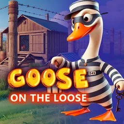 Goose On The Loose
